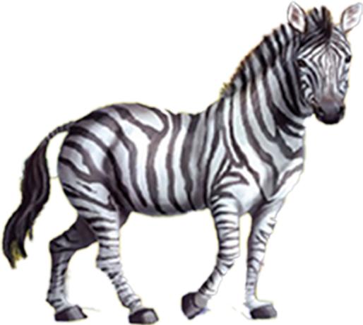 rMing QPMN Poker Cards (2.48" x 3.46") - Image 5